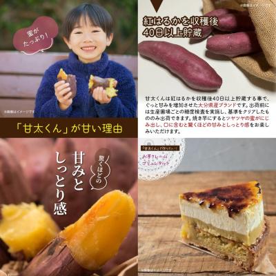 ふるさと納税 国東市 【先行受付】さつまいも 甘太くん 5kg 大分県産 M〜2L 紅はるか サツマイモ_2291R |  | 02
