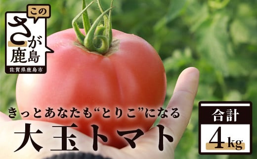 【先行予約】 たにぐちファーム 大玉トマト 4kg 【2024年2月～6月出荷】 Ricotomato とりこになるトマト Ａ-159