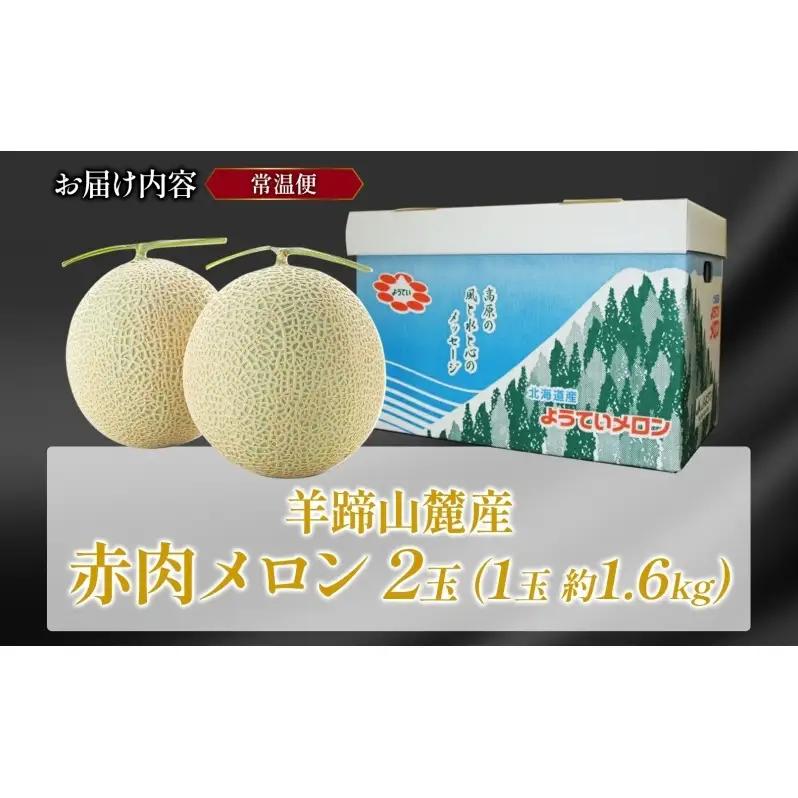 赤肉メロン 北海道産 完熟 JAようてい 赤肉メロン【約1.6kg 2玉】