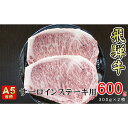 【ふるさと納税】牛肉 飛騨牛 サーロイン ステーキ セット 600g （ 1枚 約300g × 2枚 ） 黒毛和牛 A5 美味しい お肉 牛 肉 和牛 サーロインステーキ 【岐阜県揖斐川町】　牛肉・サーロイン