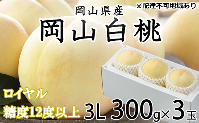 桃 2026年 先行予約 岡山 白桃 ロイヤル 3玉×約300g（3Lサイズ） JA おかやま のもも（早生種・中生種） もも モモ 岡山県産 国産 フルーツ 果物 ギフト 甘い 美味しい 産地直送 贈り物 高糖度 