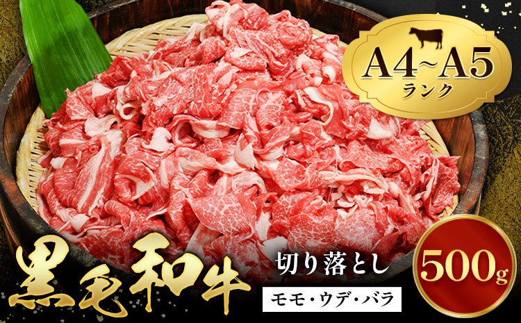 牛肉 黒毛和牛 切り落とし 小分け 500g A4 A5 田中畜産 《30日以内に出荷予定(土日祝除く)》 熊本県 苓北町 ミシュラン ビブグルマン 国産 肉 黒毛 和牛 赤身 カレー 肉じゃが 牛丼