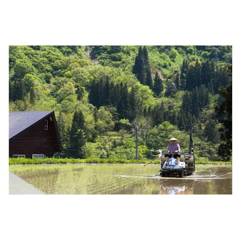 【令和8年産 先行予約】江戸伝承棚田米4kg（2kg×2） お米 コメ