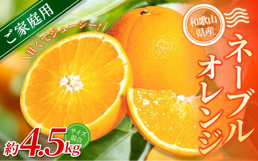 
            【ご家庭用】手選別 ネーブルオレンジ 約4.5kg 和歌山県産 2S~2Lサイズ混合※2026年1月上旬～2月中旬頃に順次発送【mrmt017】
          