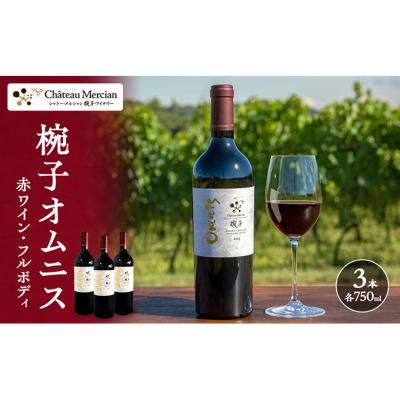 ふるさと納税 上田市 ワイン 椀子オムニス 3本 セット 750ml シャトー・メルシャン 赤[54040439]