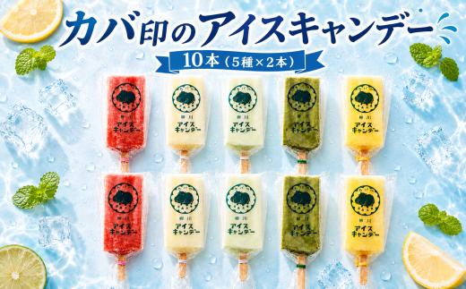 カバ印のアイスキャンデー10本セット （あまおう、ミルク、抹茶、クリームソーダ、甘夏みかん） 各2本 お取り寄せ スイーツ アイス アイスクリーム ice aisu あいす あいすくりーむ 福岡県 柳川市 【有限会社杏里ファーム】【ANR002】