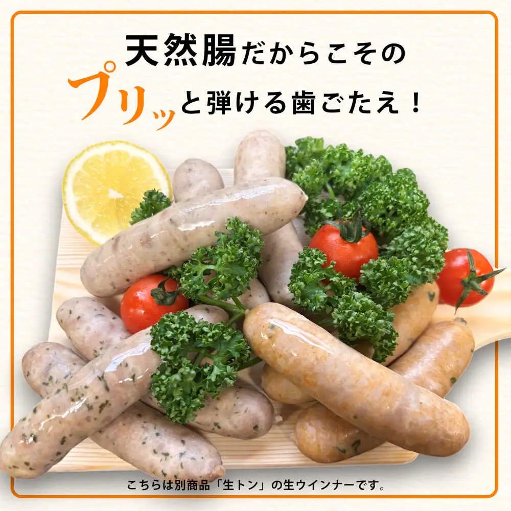 生チキ【みつせ鶏プレーン味】鶏生ウインナー 計10本（各40g×5本×2P）/ ソーセージ ウインナー BBQ  / 佐賀県 / 山代ガス株式会社 旬菜舎さと山[41AABM053]