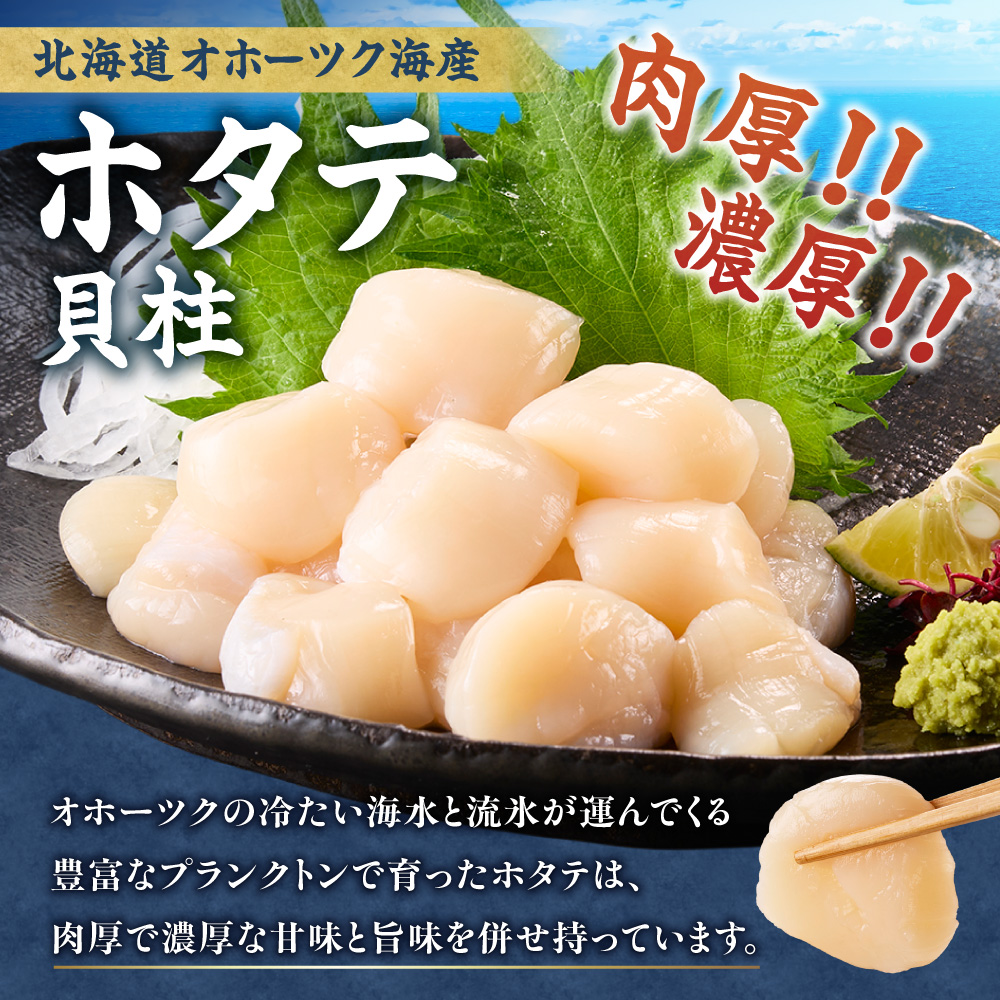 【訳あり】北海道オホーツク海産ホタテ玉冷 500g【無添加】