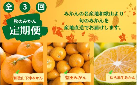 
                  【3回定期便】【10・11・12月】みかんの名産地和歌山発！秋のみかん定期便♪ゆら早生みかん・下津みかん・有田みかん【tkb362】
                