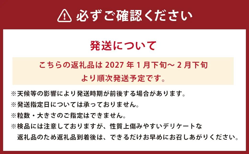 パール柑 【規格外品】ご家庭用 約4kg サイズ不選別 【2027年1月下旬～2月下旬迄発送予定】