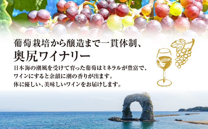 奥尻ワインメルロー（白）750ml | 北海道 奥尻町 送料無料 OKS08-004