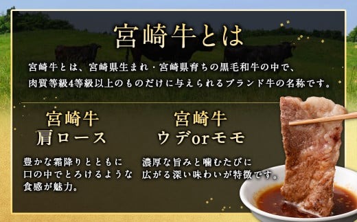 ＜宮崎牛 焼肉 2種 (赤身霜降り)＞1か月以内に順次出荷【c1194_mc_x1】 計約900g 肩ロース ウデorモモ