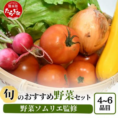 ふるさと納税 多良木町 野菜ソムリエ監修 旬のおすすめ野菜セット 4〜6種類(1〜2名様向け)