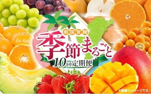 
                  【10回定期便】旬 人気 フルーツ 南国宮崎産 マンゴー 金柑たまたま シャインマスカット ピオーネ いちご みかん 梨 メロン 柑橘 きんかん ぶどう 果物 詰め合わせ 宮崎県 九州＜E-2コース M600＞
                