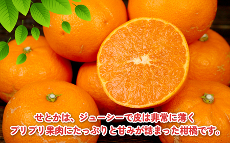 訳あり せとか 約4kg 柑橘の大トロ 杉本屋 先行予約 わけあり 訳アリ 訳あり品 果物 くだもの フルーツ 愛媛ミカン 愛媛蜜柑 愛媛みかん 高級 希少 mikan 蜜柑 みかん ミカン 濃厚 甘
