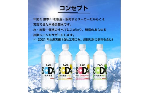 【定期便6回】ZAO SODA 強炭酸水 500ml×48本×6か月 計288本 FY24-23