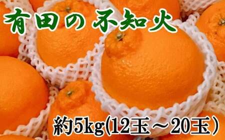 果物 くだもの フルーツ 蜜柑 みかん 不知火 デコポン / 【濃厚】有田の不知火 約5kg（12玉～20玉おまかせ）※2025年2月中旬～2025年3月上旬頃発送予定（日付指定不可） 【tec861】