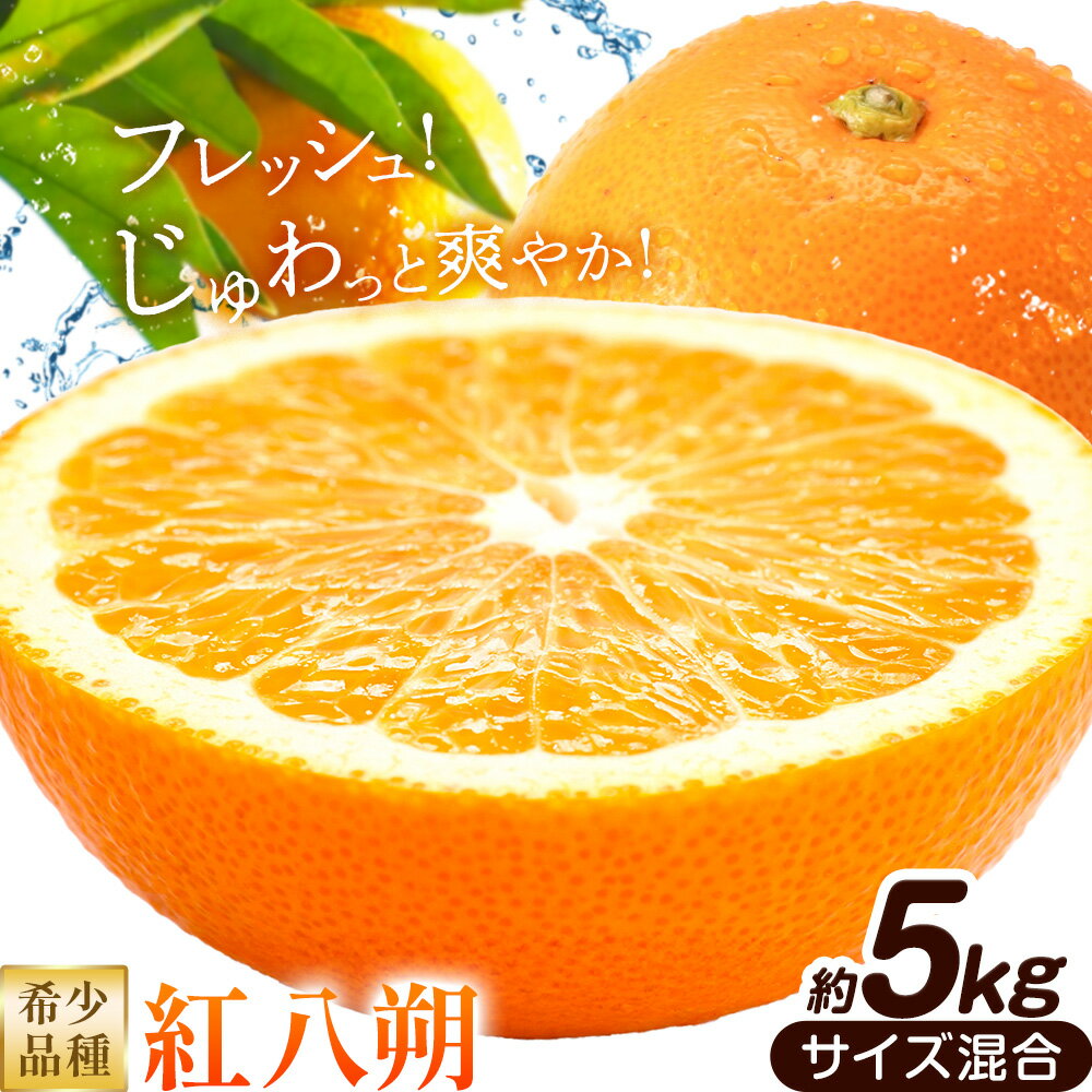 【ふるさと納税】みかん はっさく 紅八朔 和歌山県産 希少品種 約5kg サイズ混合 日高町厳選館《1月中旬-2月末頃出荷》和歌山県 日高町 送料無料 柑橘類 柑橘 オレンジ みかん 果物 フルーツ 青果 紅はっさく 八朔