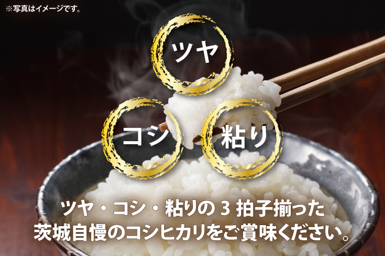 令和6年産無洗米茨城コシヒカリ5㎏×2【お米 こめ 米 こしひかり 無洗米 茨城県 茨城県産】（LL-2）