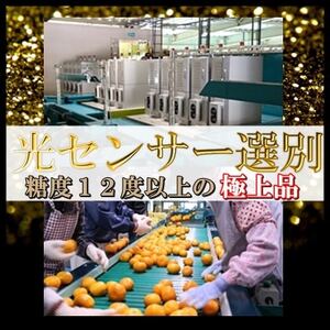 日の丸みかん「ゴールド千兩」3kgサイズSまたは2S/約35～45個/2箱/光センサー【F79-5】【1452027】