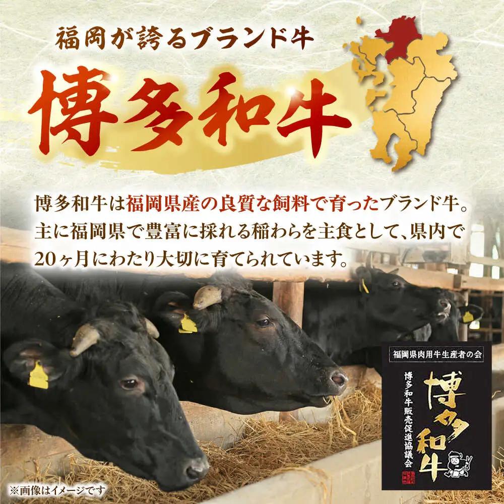 博多和牛 ヒレ ステーキ 3枚（計300g） [ADBZ005] ステーキ ヒレ A5 A4