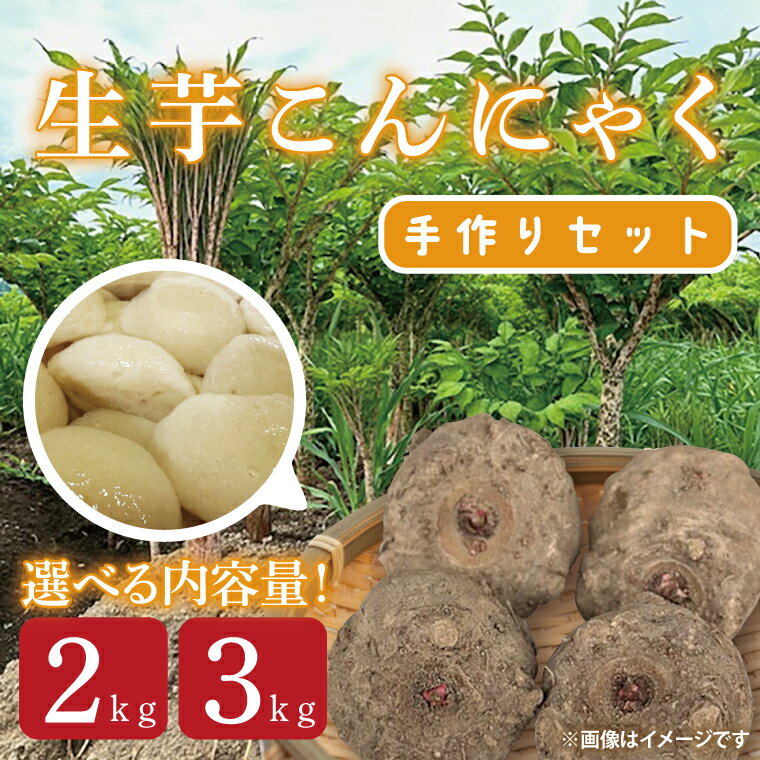 【ふるさと納税】【内容量が選べる】生芋こんにゃく手作りセット 【こんにゃく芋（みやままさり）2kg or 3kg ・凝固剤・レシピ付き】｜こんにゃく こんにゃく芋 手作り 令和6年度 大子町産 刺身 蒟蒻 田舎(CL003)
