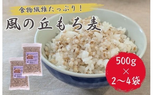 
                  風の丘もち麦 ／ もち麦 麦 むぎ 大麦 雑穀 雑穀米 もち麦ごはん 麦ごはん 食物繊維 1kg 2kg
                