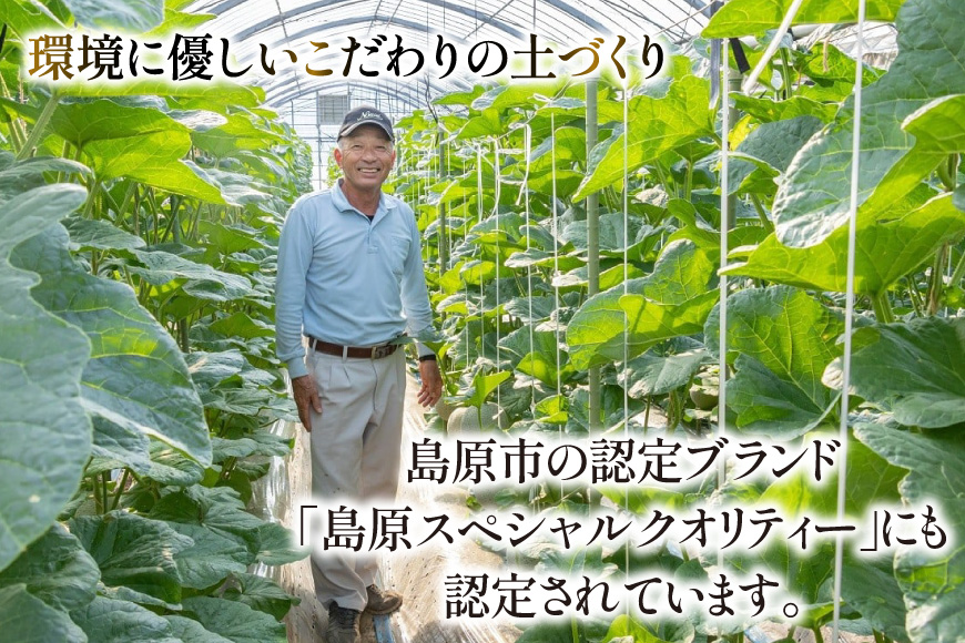 【期間限定発送】LAA048 その道一筋の生産者がじっくり丁寧に育てた マスクメロン 2玉入 [ メロン めろん 西瓜 フルーツ 果物 くだもの 青肉 甘い 芳香 高糖度 糖度 長崎県 島原市 ]