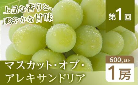 【全3回コース】晴れの国岡山 ぶどうの定期便