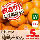 【ふるさと納税】訳あり それでも 熟成みかん 箱込5kg ( 内容量 4.4kg ) サイズミックス B品 有田みかん 和歌山県産 産地直送 家庭用 【みかんの会】 | 和歌山 フルーツ 果物 くだもの かんきつ 柑橘 柑橘類 みかんの会 送料込み 送料無料