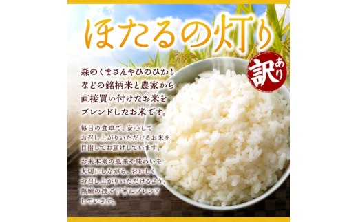 【定期便6回】R7年産 熊本県産 ほたるの灯り 無洗米 20kg | お米 無洗米 ブレンド米 お米 家庭用 送料無料 お米 熊本 くまもと お米  熊本県  国産 KOKUSAN 国産米 熊本県 玉