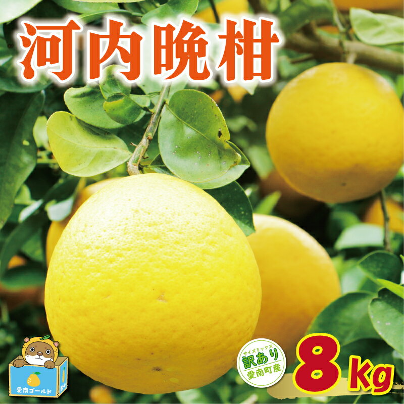【ふるさと納税】【 高評価 ★4.8】 先行予約 訳あり 河内晩柑 8kg 7000円 みかん かわちばんかん 愛南ゴールド あいなん ゴールド 美生柑 文旦 グレープフルーツ 和製 家庭用 国産 期間限定 数量限定 わけあり 人気 フルーツ 果物 柑橘 規格外 愛媛県 愛南町 塚岡農園