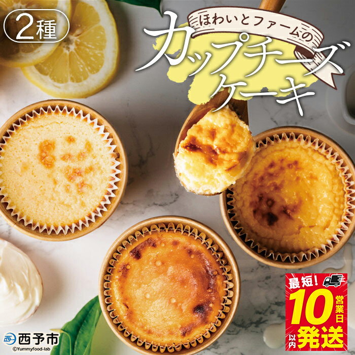 【ふるさと納税】＜ほわいとファームのカップチーズケーキ 2種 合計5個＞デザート スイーツ お菓子 洋菓子 バスクチーズケーキ ニューヨークチーズケーキ のし対応可 お祝い 内祝い ギフト 贈答 贈り物 プレゼント 愛媛県 西予市【冷凍】『最短10営業日以内に順次発送予定』