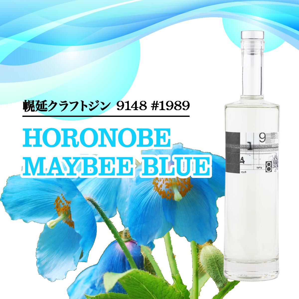 【ふるさと納税】幌延クラフトジン　9148 #1989HORONOBE MAYBEE BLUE