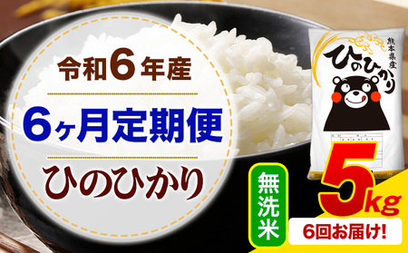 【6ヶ月定期便】令和6年産 無洗米 ひのひかり 定期便 5kg《お申込み月の翌月から出荷開始》令和6年産 熊本県産 ふるさと納税 精米 ひの 米 こめ ふるさとのうぜい ヒノヒカリ コメ お米 hino
