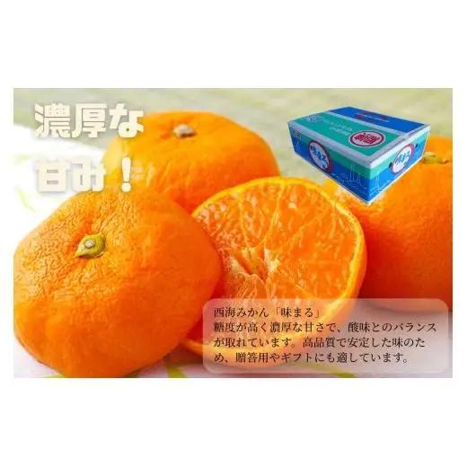 【 早期受付 】西海みかん 味まる 3kg 糖度12度以上 ブランドみかん 佐世保 【 11月発送 】