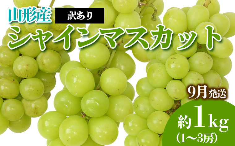 
                  [訳あり]やまがたのぶどう シャインマスカット 9月 優品 約1kg(1～3房程度) 【令和9年産先行予約】FS23-818 くだもの 果物 フルーツ 山形 山形県 山形市 2027年産
                