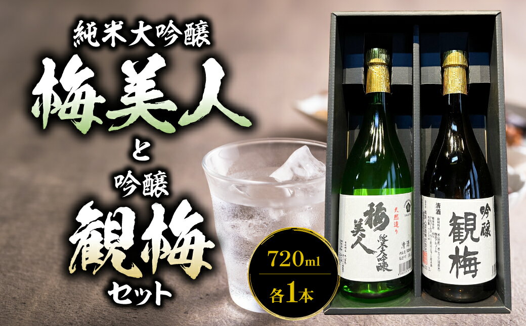 【ふるさと納税】純米大吟醸梅美人720mlと吟醸観梅720mlのセット【D03-8】_【1043422】