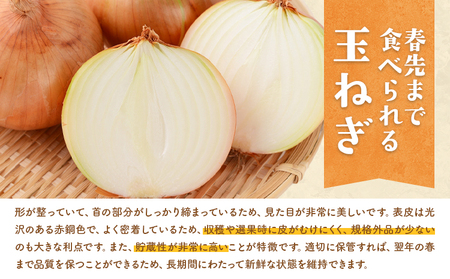 北海道産 玉ねぎ 約5kg サイズ混合 若木ファーム 送料無料  十勝 本別町産《11月上旬から3月下旬頃出荷》