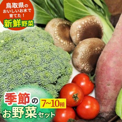 ふるさと納税 倉吉市 季節のお野菜セット(7〜10種) 野菜 やさい 国産野菜 野菜詰め合わせ