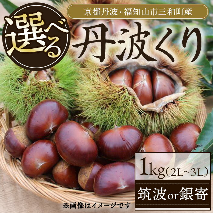 【ふるさと納税】＜種類・容量が選べる＞＜先行予約受付中！2026年10月上旬以降順次発送予定＞京都丹波・福知山市三和町産 丹波くり 1kg (筑波or銀寄・2L～3L) 栗 くり 丹波栗 丹波くり 銀寄 甘味 おやつ 栗ご飯 お菓子作り サイズ 【fc-FB001】【丹波かなまろんふぁーむ】