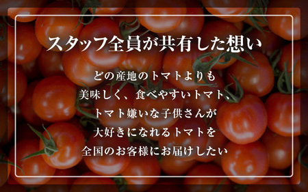 【期間限定】福井県美浜町産　若狭のミディトマト『紅い鈴』約1kg（バラ箱詰め）【2024年6月上旬まで発送】 [m37-a002]