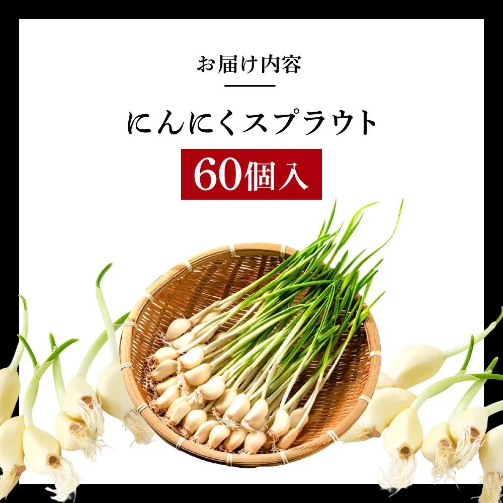 にんにくスプラウト 60個入り グリーンラボ近江 滋賀県 東近江市 A04 にんにく ニンニク 無臭 料理 食材 水耕栽培 野菜 天ぷら