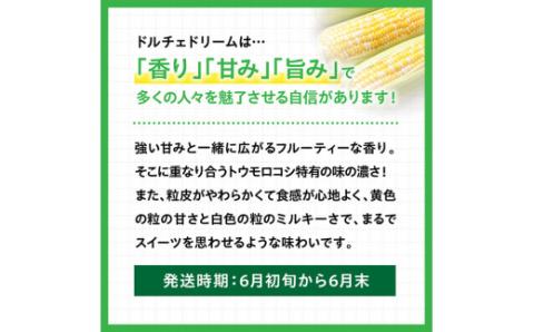 【令和6年産】宮崎県産スイートコーン「長友農園産ドルチェドリーム」5kg　とうもろこし スイートコーン[E10802]