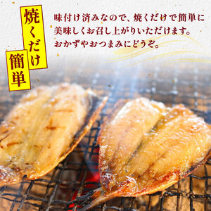訳あり いわし 干物 48尾 (16尾×3パック) 天日干し 冷蔵