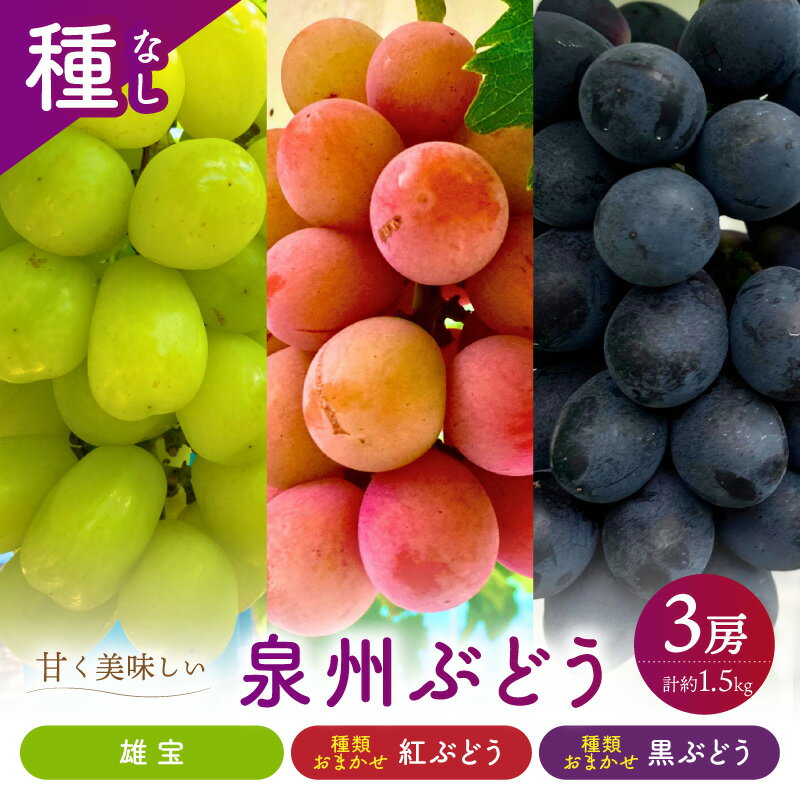 【ふるさと納税】泉州ぶどう 大粒大房の雄宝とおまかせ2種の3房セット ふるさと納税 果物 くだもの ぶどう 葡萄 シャインマスカット 泉州ぶどう