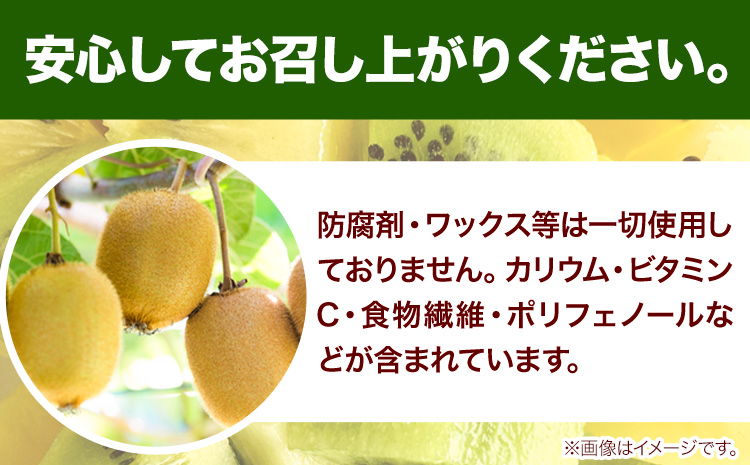 先行予約 厳選 キウイ フルーツ 約5kg ＋250g (傷み補償分) 池田鹿蔵農園@日高町（池田農園株式会社）《11月中旬～2027年4月下旬出荷》和歌山県 日高町 キウイ キウイフルーツ 果物 フ