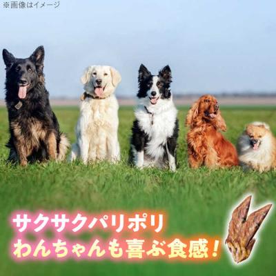 ふるさと納税 糸島市 わんこのおやつ無添加手づくり手羽先の先ジャーキー5袋 mogmogfactory[AXO002] |  | 01