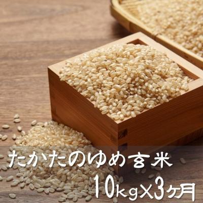 ふるさと納税 陸前高田市 【3ヶ月定期便】 たかたのゆめ 玄米 10kg×3ヶ月 (合計30kg) 令和7年産 米 お米