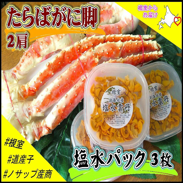 【ふるさと納税】 ボイルたらばがに脚 2 肩 ( 計 1.6kg ) 、塩水うに 60 ~ 80g × 3P グルメ たらば蟹 タラバ蟹 うに ウニ 雲丹 塩水 塩水うに 塩水ウニ お取り寄せ 海鮮 北海道 根室市 ふるさと納税 E-59006